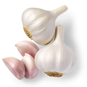 Garlic Clove